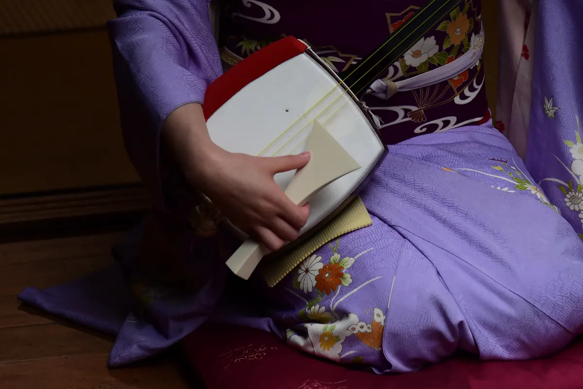 A woman in a lilac kimono holds a shamisen on her lap, its drum-like body covered in pale skin